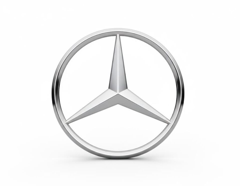 MERCEDES MP4 AROCS PANJUR YILDIZI 9608170016