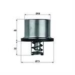 VOLVO FH FM TERMOSTAT 82C  8149182