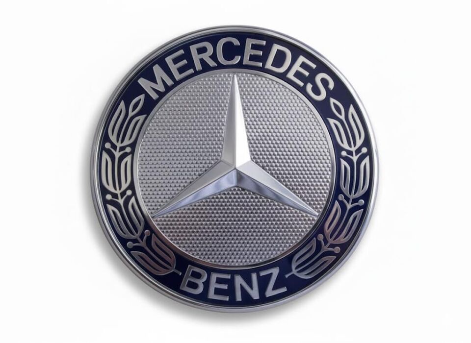 MERCEDES MİNELİ ÜST PANJUR YILDIZI 6738100018