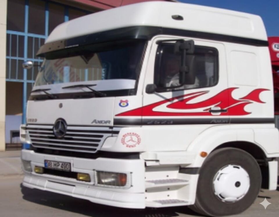MERCEDES 2528-3228 BALIK SIRTI KABİN ŞERİDİ RENKLİ KABİN